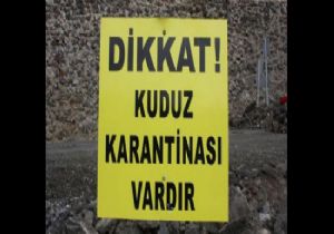 4 köy karantina altında